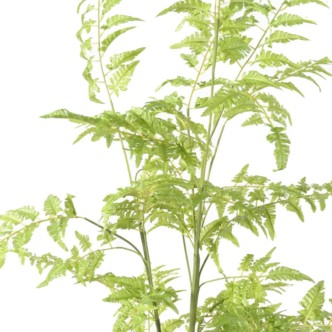 FOUGERE artificielle sur plot 75 à 170 cm - feuilles