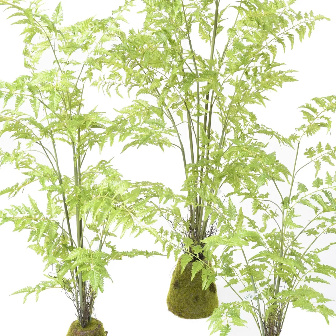 FOUGERE artificielle sur plot 75 à 170 cm - détail