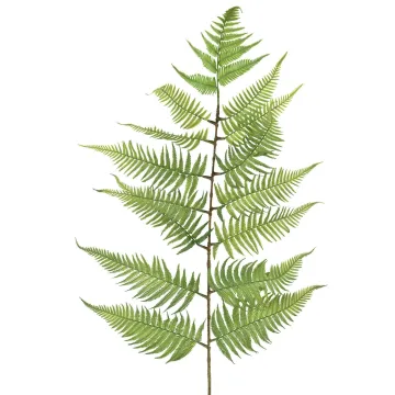 Feuille de FOUGERE artificielle 150 cm