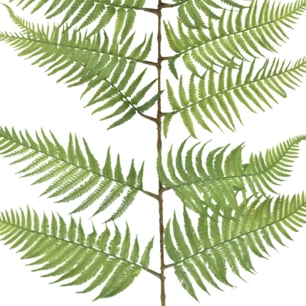 Feuille de FOUGERE artificielle 150 cm - tige et feuilles