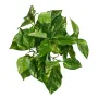 petit POTHOS artificiel 21 cm