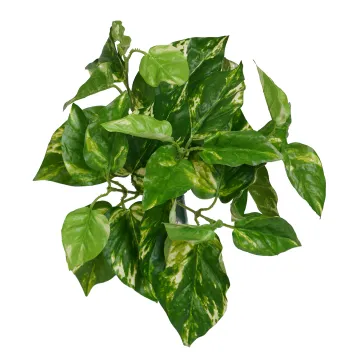 petit POTHOS artificiel 21 cm