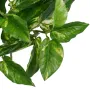 petit POTHOS artificiel 21 cm - feuilles