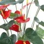 fleurs et feuilles ANTHURIUM en pot 75 cm
