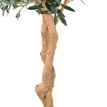 OLIVIER artificiel tronc double 200 cm - tronc