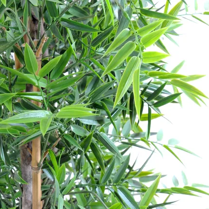HAIE artificielle BAMBOU dense japenese plast 90 à 180 cm