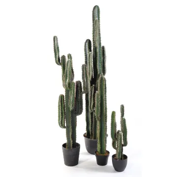CACTUS artificiel finger 75 à 185 cm - 4 tailles