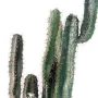 CACTUS artificiel finger 150 cm - branches
