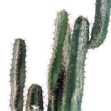 CACTUS artificiel finger 150 cm - branches