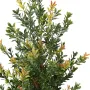 BUIS artificiel buisson PF 100 à 160 cm - cime