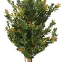 BUIS artificiel buisson PF - base