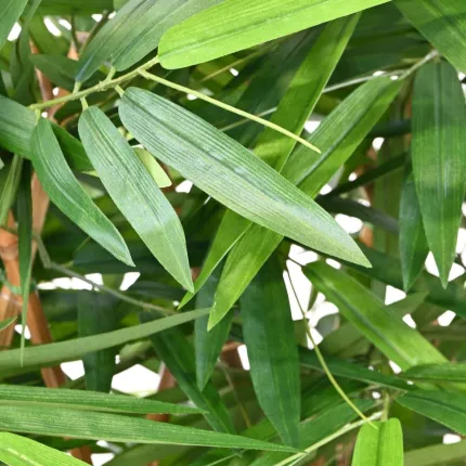 HAIE artificielle BAMBOU new dense 140 et 180 cm