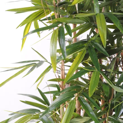 HAIE artificielle BAMBOU new dense 150 cm longueur 100 cm - feuillage et troncs