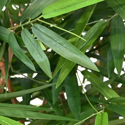 HAIE artificielle BAMBOU new dense 150 cm longueur 100 cm - feuilles détails