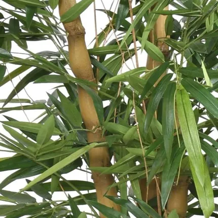 BAMBOU BOUDDHA artificiel 140 et 170 cm - détail tronc et feuilles