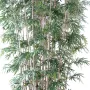 feuilles BAMBOU artificiel  NEW GEANT LUXE 25 cannes 400 et 700 cm