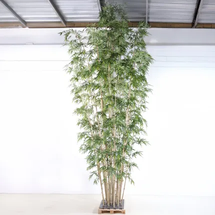 BAMBOU artificiel  NEW GEANT LUXE 25 cannes 700 cm