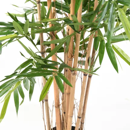feuilles et cannes BAMBOU artificiel NEW  Dense 150 à 210 cm
