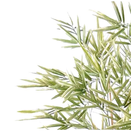 BAMBOU artificiel SHIROSHIMA 70 à 220 cm - feuilles  détails