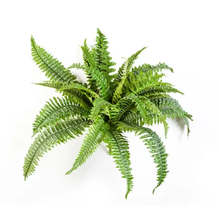 FOUGERE artificielle boston diam 50 cm