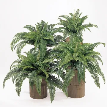 FOUGERE artificielle boston diam 50 à 90 cm