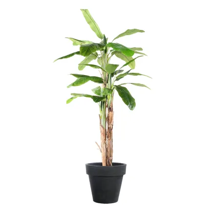 BANANIER artificiel 3 troncs  240 cm en pot