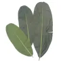 feuille artificielle BANANIER 73 à 114 cm - 3 tailles