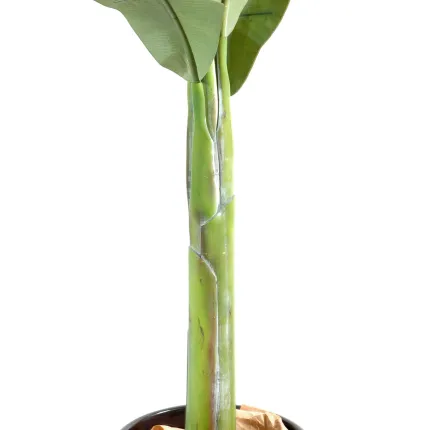 BANANIER artificiel 140 à 350 cm - tronc