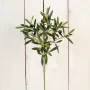 branche OLIVIER artificiel NATUREL 50 cm sur bois