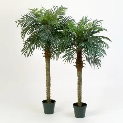 Phoenix artificiel palm 150 ou 180 cm sur fond gris