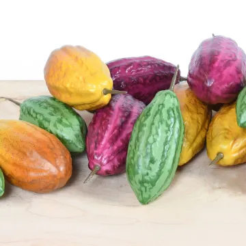 Cabosse cacao artificielle 20 cm vendu par 3