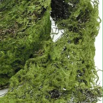 MOUSSE artificielle en rouleau - détail