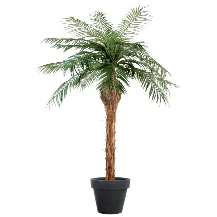 PHOENIX  artificiel 150 à 260 cm dans un pot