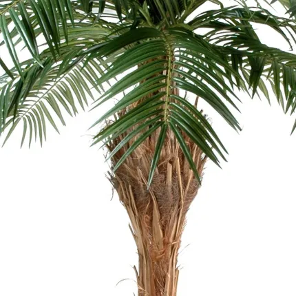 PHOENIX  artificiel 150 à 260 cm - tronc