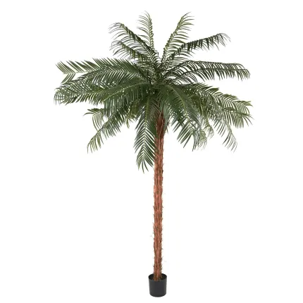 PHOENIX  artificiel 150 à 260 cm