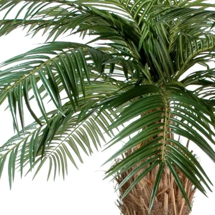 PHOENIX  artificiel 150 à 260 cm - feuilles