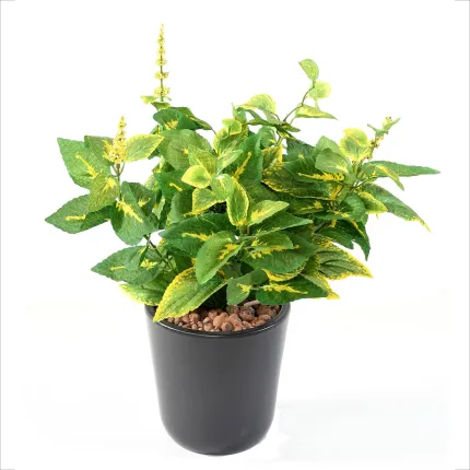 COLEUS artificiel 40 cm vert/jaune