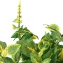 COLEUS artificiel 40 cm vert/jaune - détails fleurs