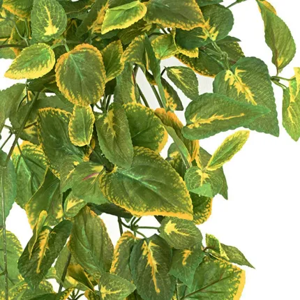 COLEUS artificiel 70 cm vert - feuilles