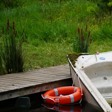 ROSEAUX artificiel 90 à 150 cm - cinéma