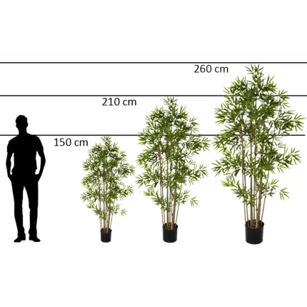 comparaison taille 2