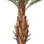 palmier CANARIE artificiel 350 cm - tronc
