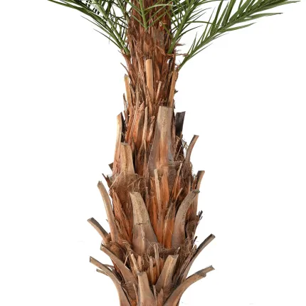palmier CANARIE artificiel 350 cm - tronc