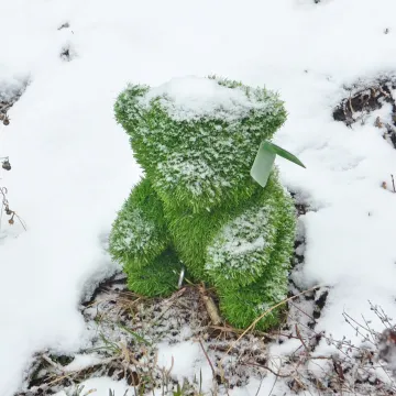 OURSON en gazon artificiel 38 cm sous la neige