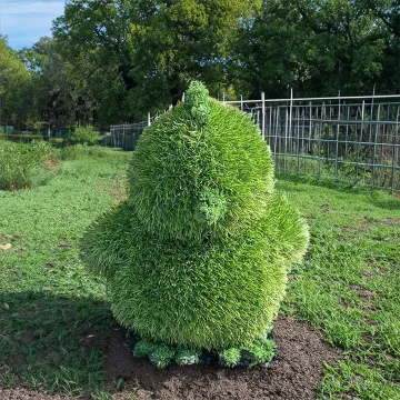 POUSSIN en gazon synthétique 35 cm dans le terrain sur la pelouse