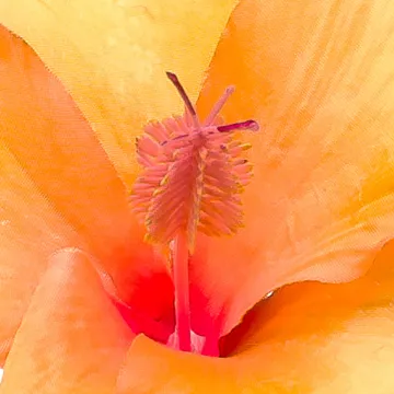 HIBISCUS artificiel jaune 60 cm jaune - coeur
