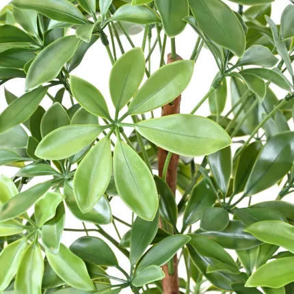 ORANGER DU MEXIQUE artificiel - feuilles détails