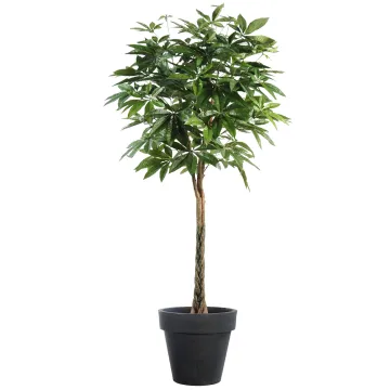 PACHIRA artificiel aquatica BOULE 150 et 180 cm dans un pot