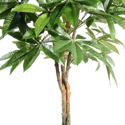 PACHIRA artificiel aquatica BOULE 150 et 180 cm - feuilles