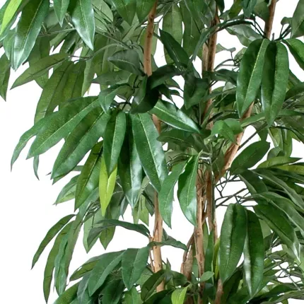 MANGUIER artificiel 150 et 180 cm - feuilles et tronc